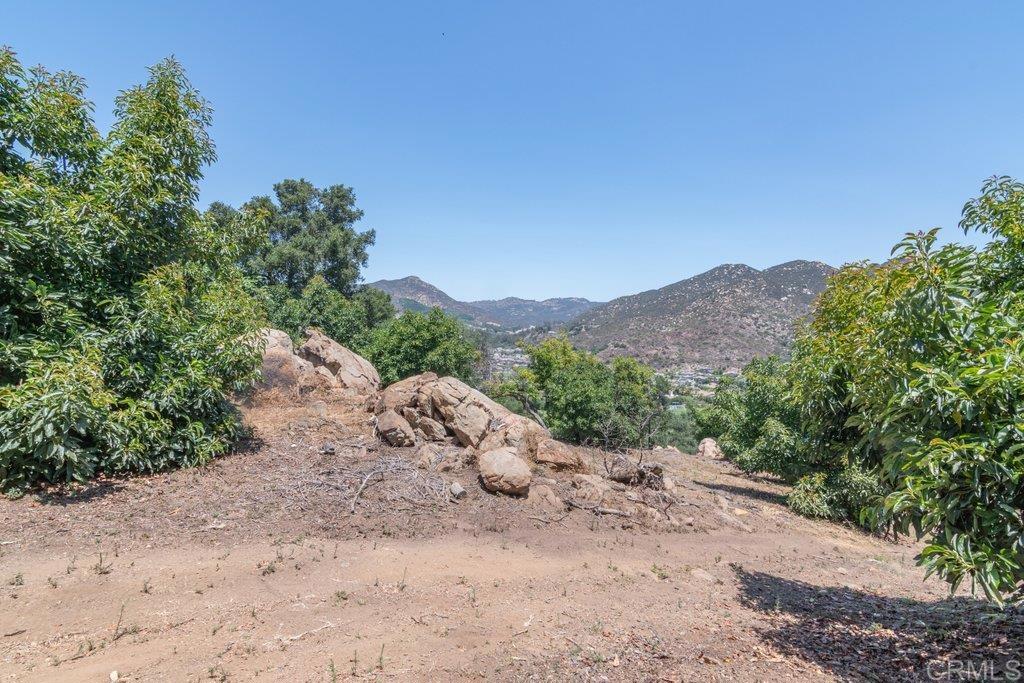 3137 E Valley Parkway Property Photo 47