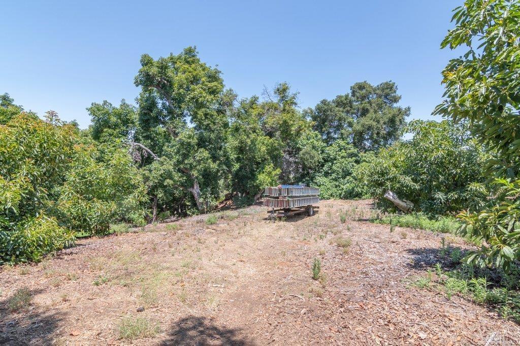 3137 E Valley Parkway Property Photo 48