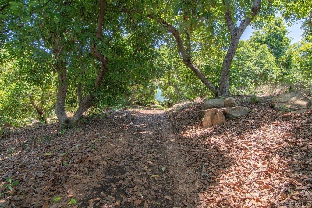 3137 E Valley Parkway Property Photo 58