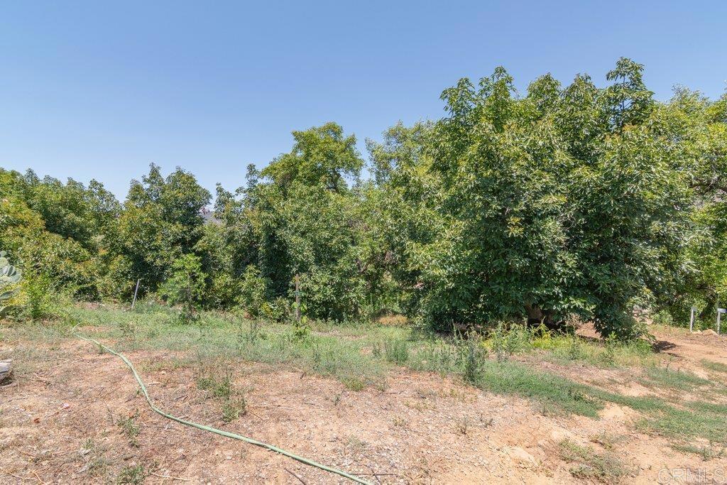 3137 E Valley Parkway Property Photo 60