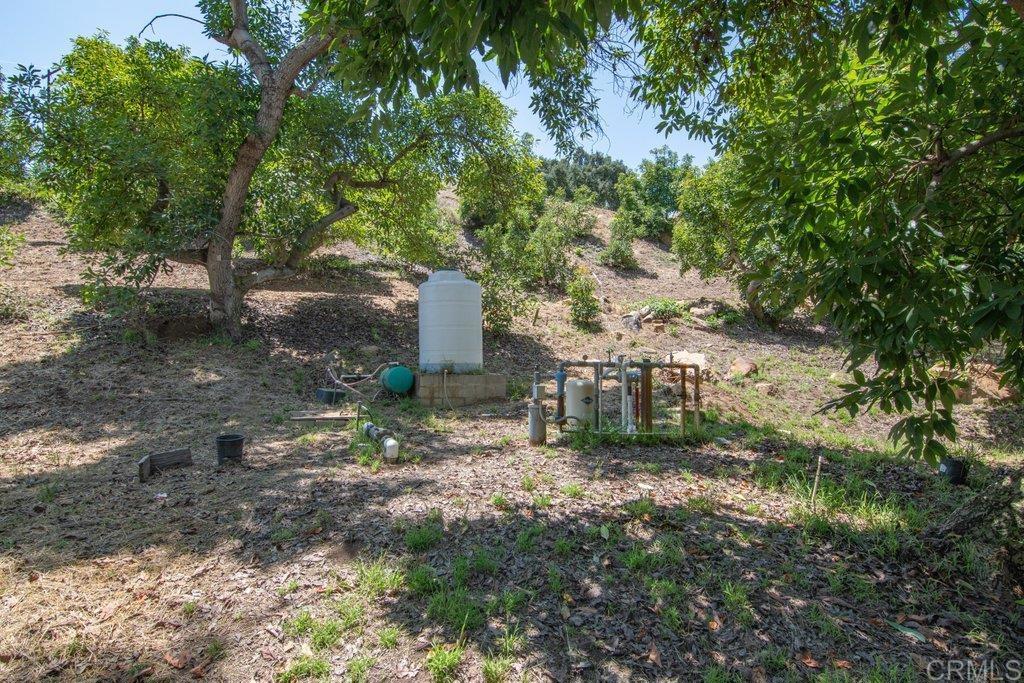 3137 E Valley Parkway Property Photo 63