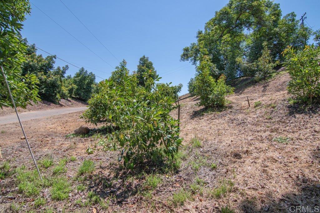 3137 E Valley Parkway Property Photo 64