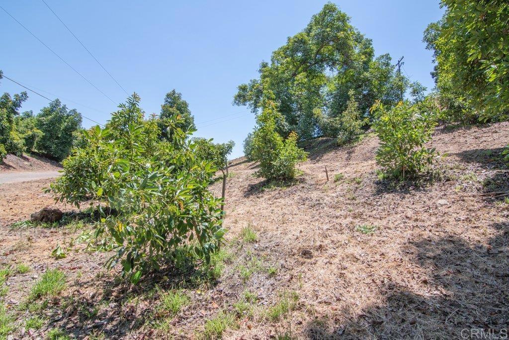 3137 E Valley Parkway Property Photo 65