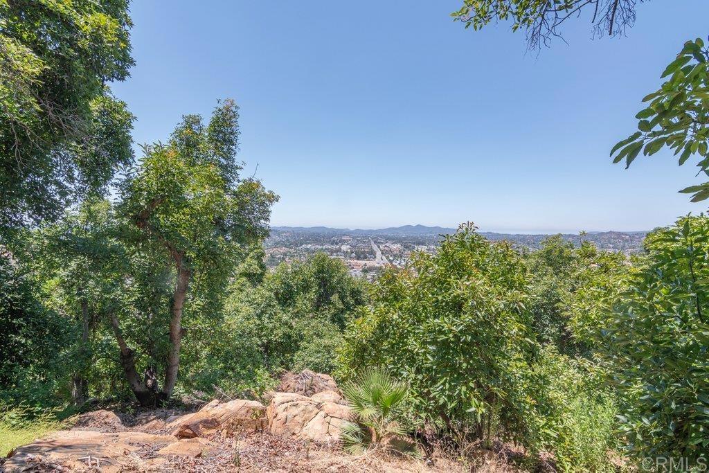 3135 E Valley Parkway Property Photo 51