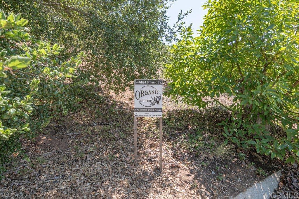3135 E Valley Parkway Property Photo 65