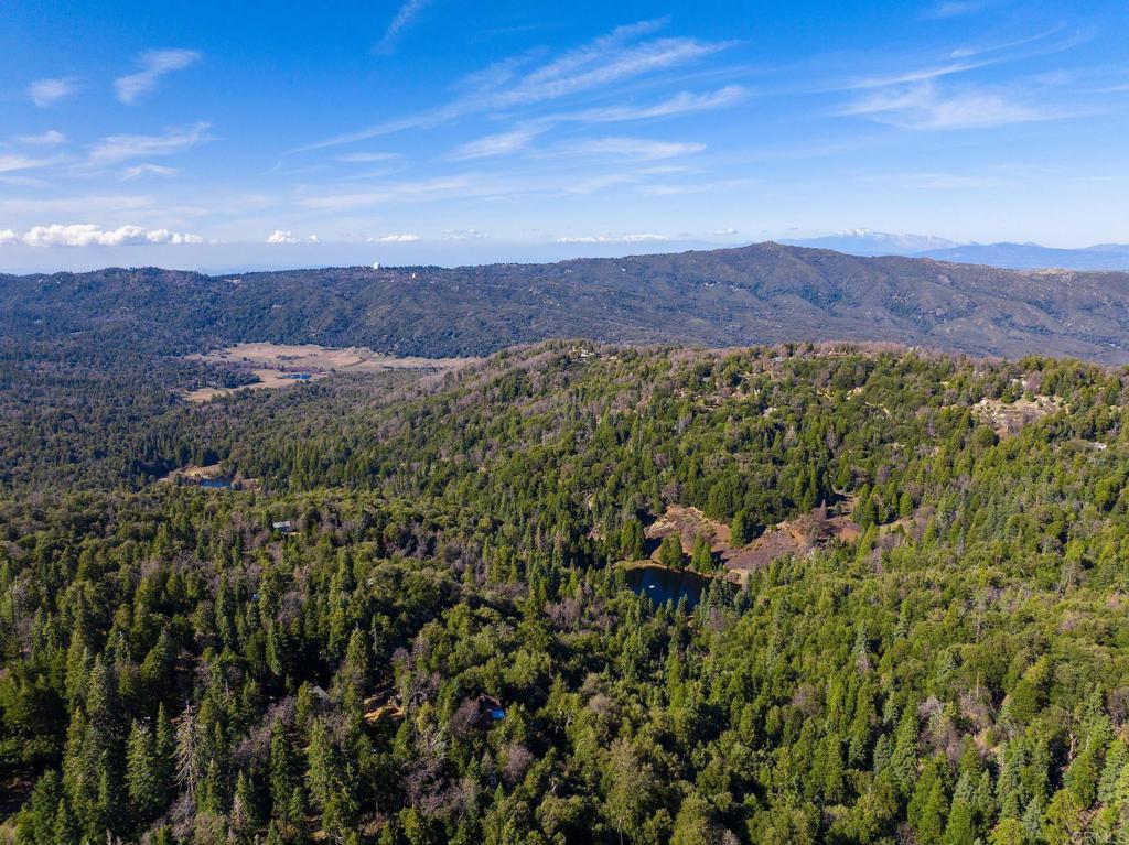 22228 Crestline Road Property Photo 47