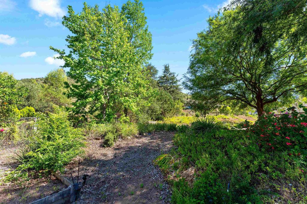 1717 Birchwood Property Photo 45