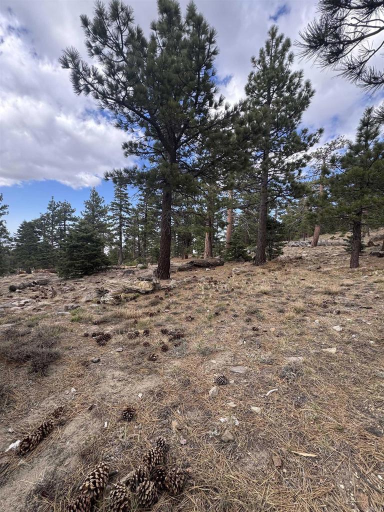 636 35-0002 Mountain Center Property Photo 20
