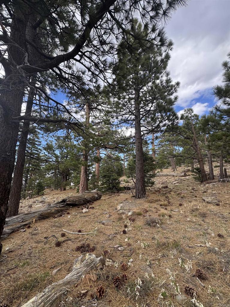636 35-0002 Mountain Center Property Photo 21