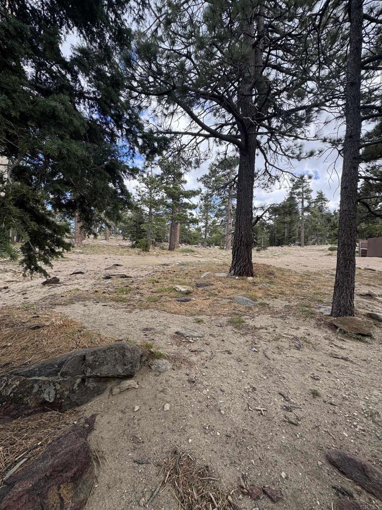636 35-0002 Mountain Center Property Photo 26