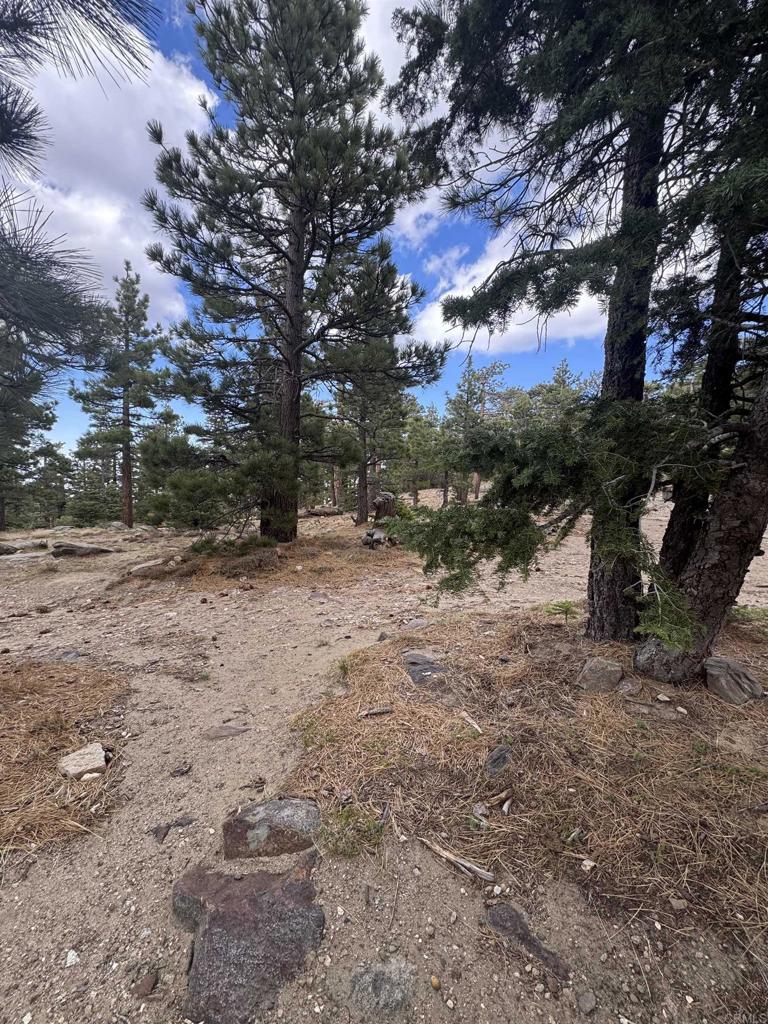 636 35-0002 Mountain Center Property Photo 27