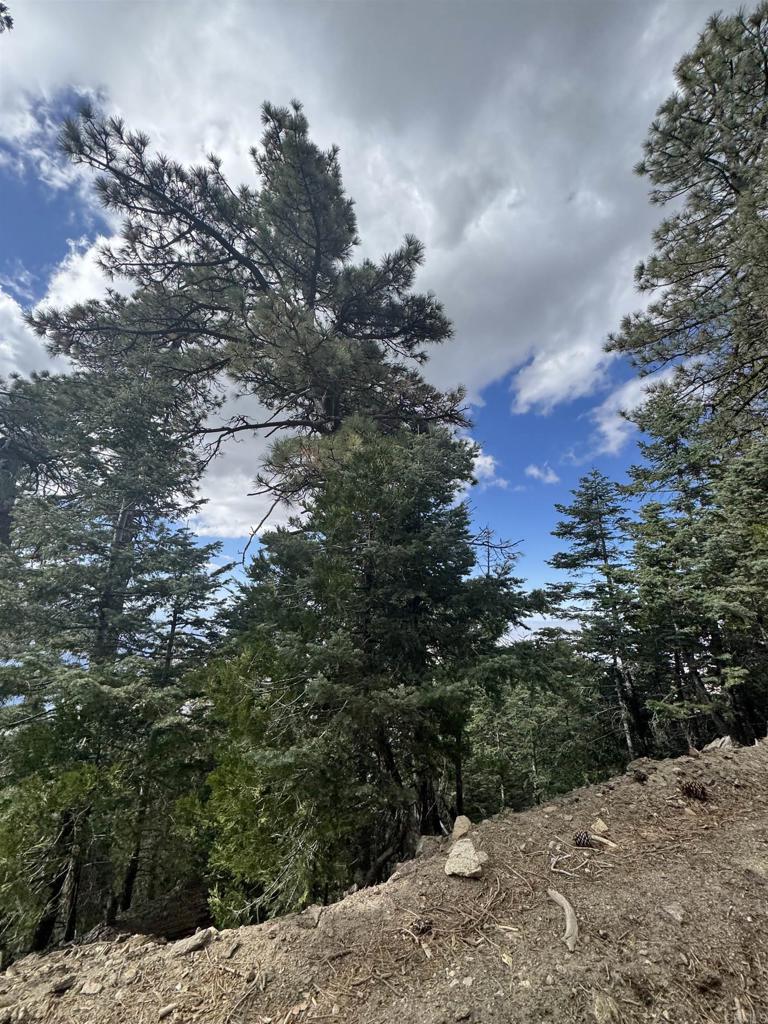 636 35-0002 Mountain Center Property Photo 39