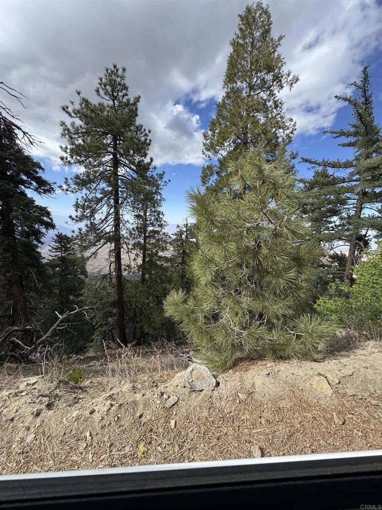 636 35-0002 Mountain Center Property Photo 48