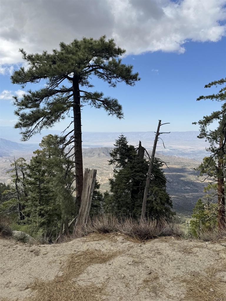 636 35-0002 Mountain Center Property Photo 49