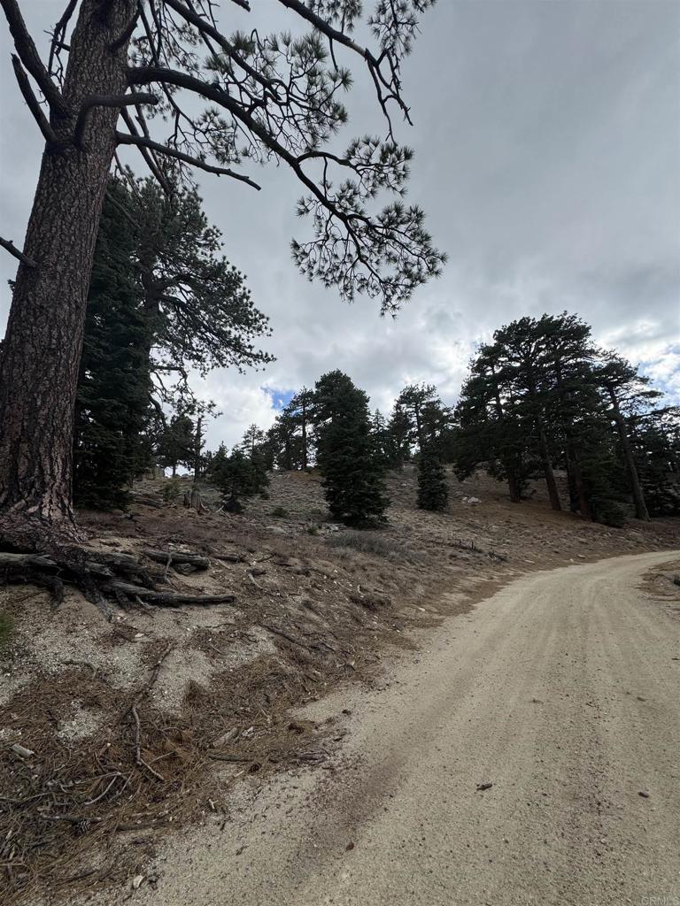 636 35-0002 Mountain Center Property Photo 69