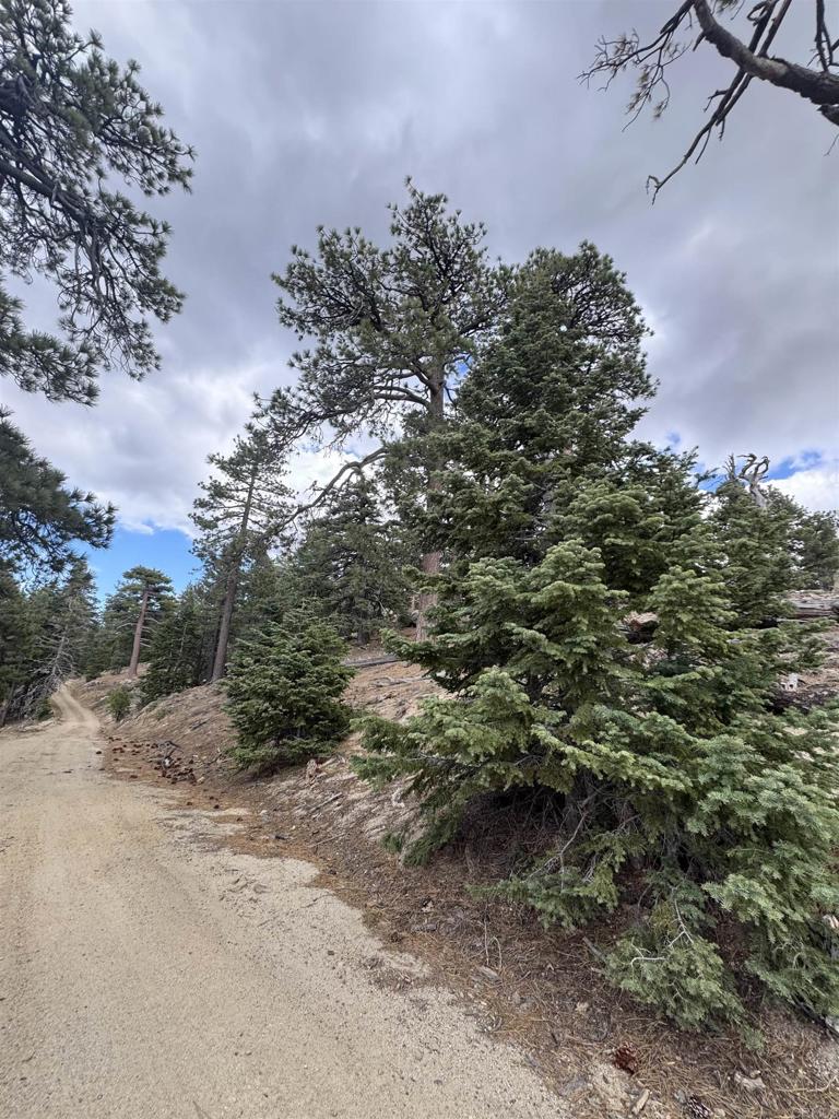636 35-0002 Mountain Center Property Photo 70