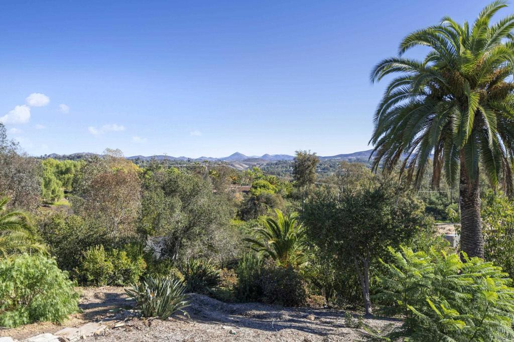 5501 Paseo Del Alba Property Photo 8