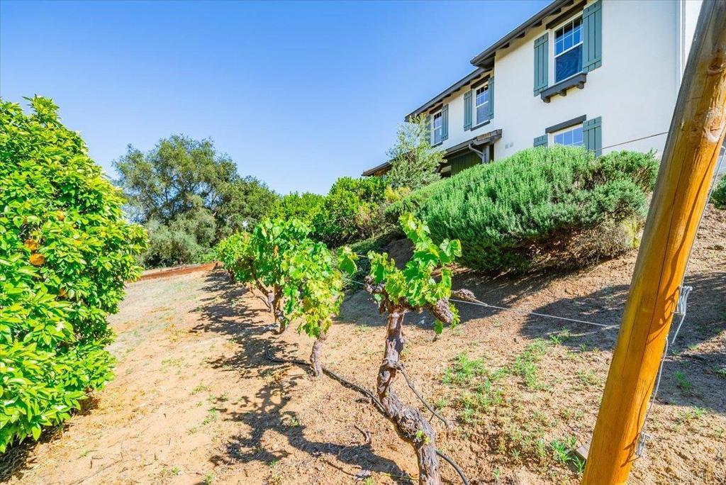 27117 Santolina Street Property Photo 65
