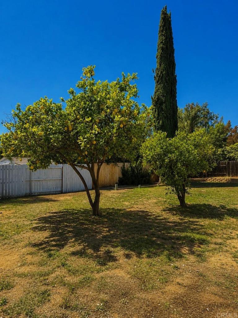 14744 Roberto Rio Road Property Photo 9