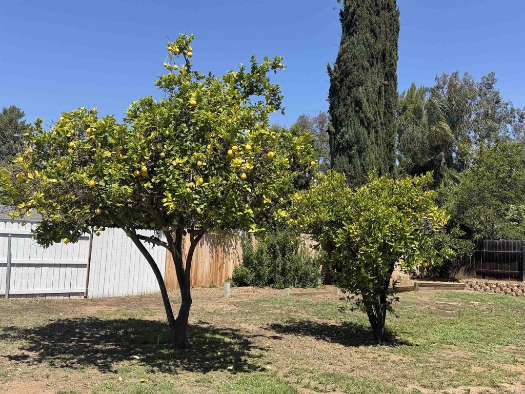 14744 Roberto Rio Road Property Photo 14