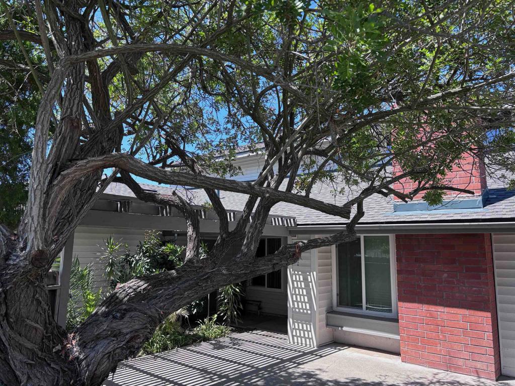 14744 Roberto Rio Road Property Photo 64