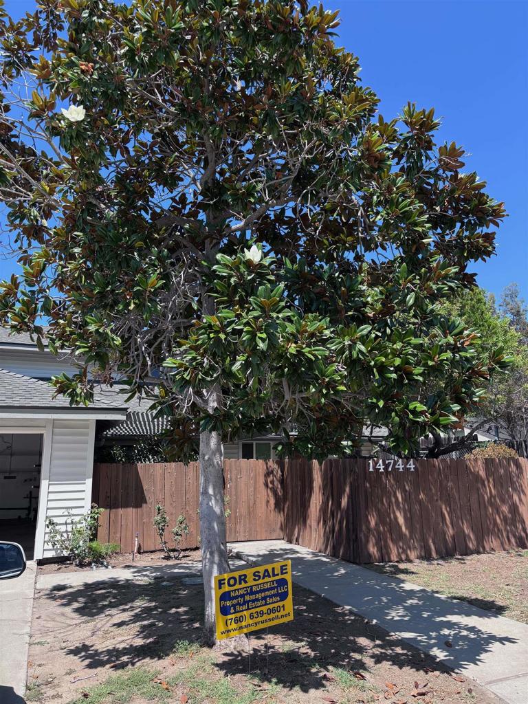 14744 Roberto Rio Road Property Photo 68