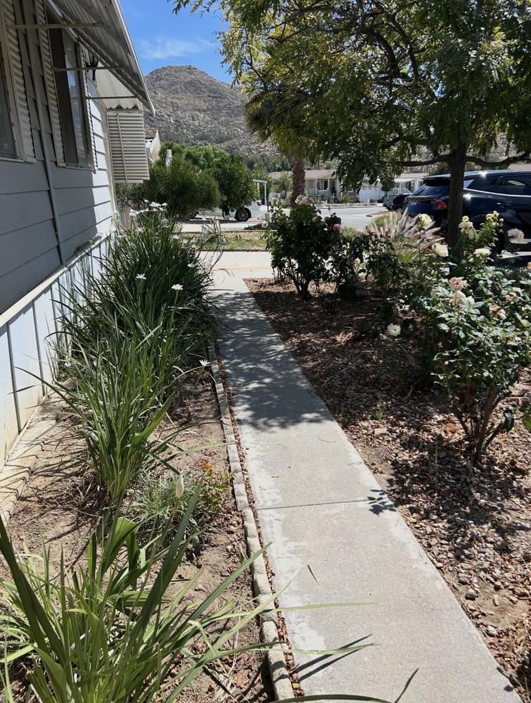 26092 Bamboo Palm Property Photo 2