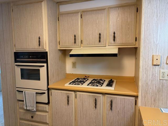 26092 Bamboo Palm Property Photo 3