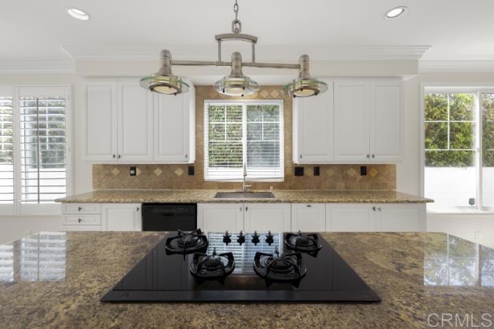 1312 Corvidae Street Property Photo 16