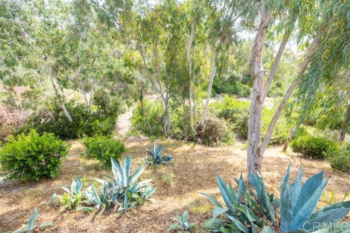 1312 Corvidae Street Property Photo 53