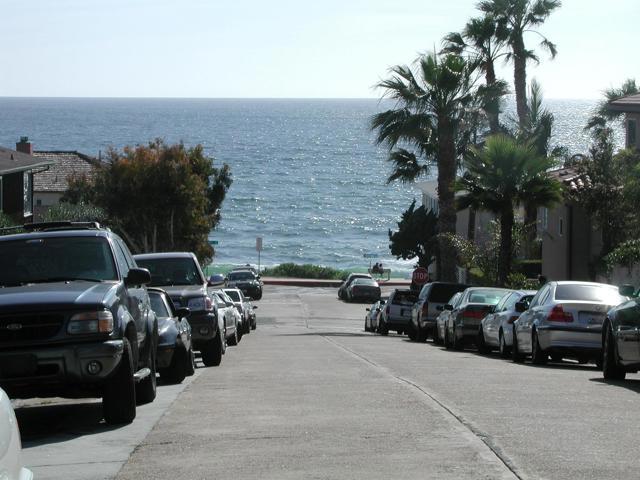 307 Rosemont Property Photo 15