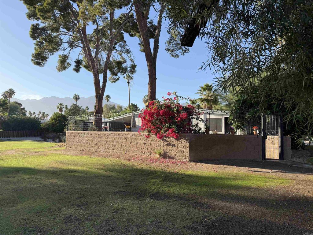 1010 Palm Canyon Drive 324 Property Photo 4
