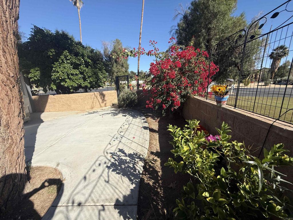 1010 Palm Canyon Drive 324 Property Photo 11