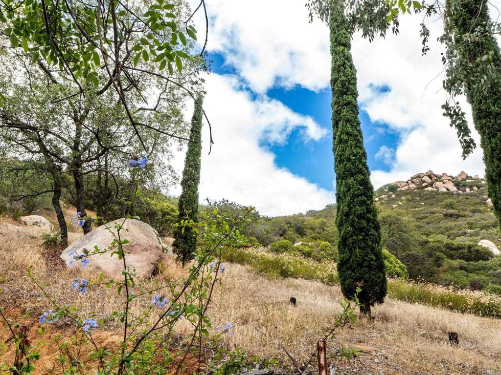 17566 Lyons Valley Road Property Photo 34