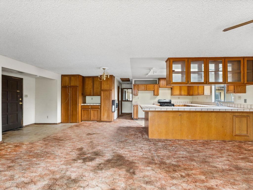 17566 Lyons Valley Road Property Photo 44