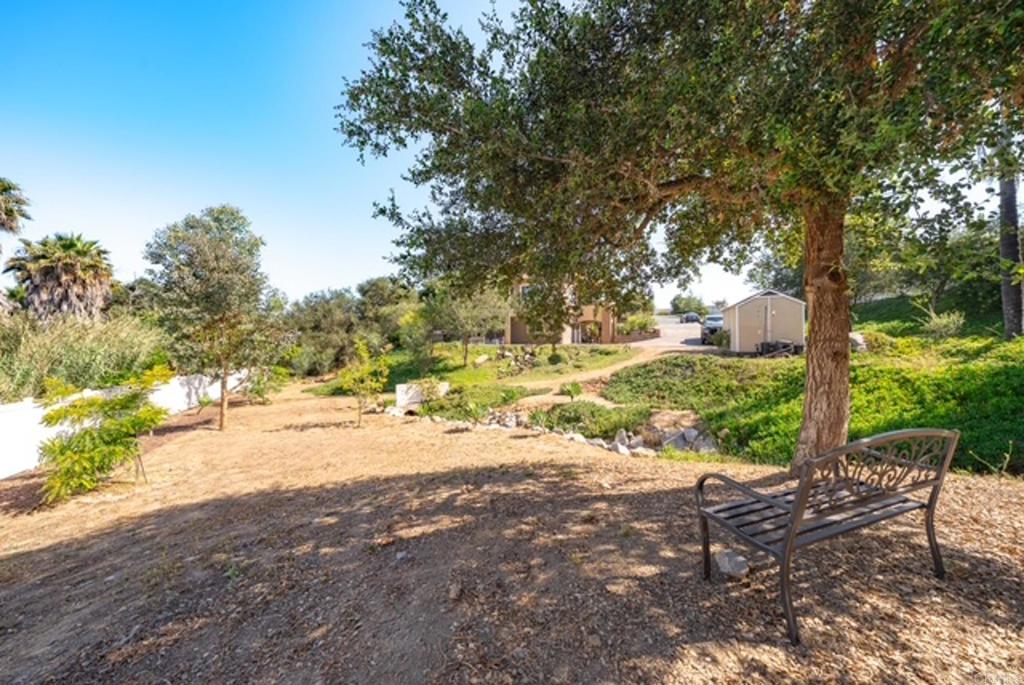 27636 Mountain Meadow Road Property Photo 65