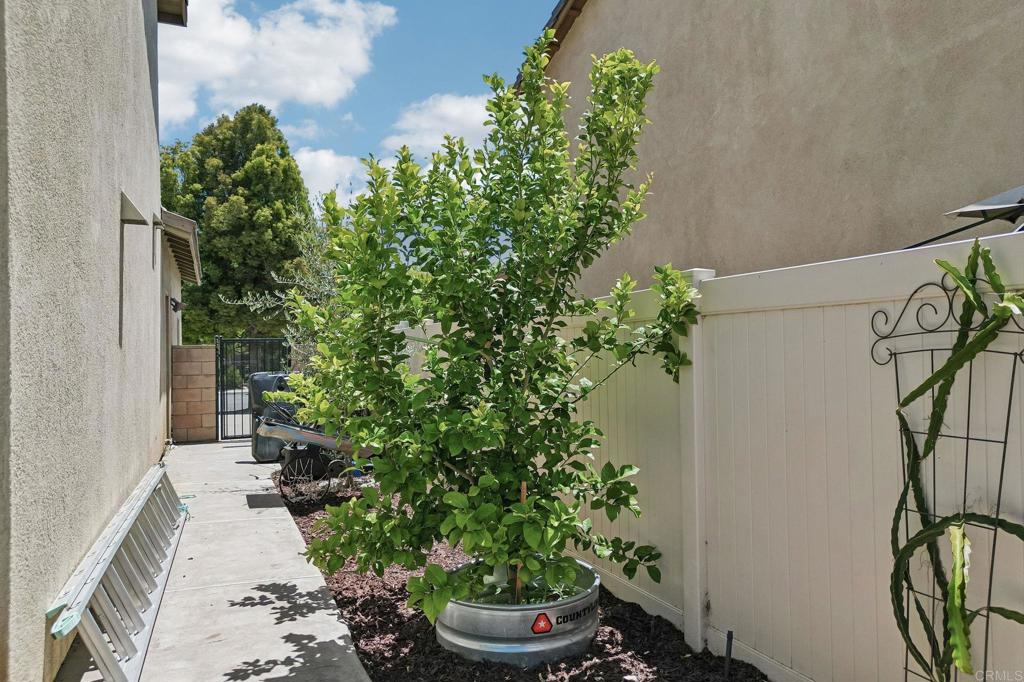 34967 Lava Tree Lane Property Photo 25