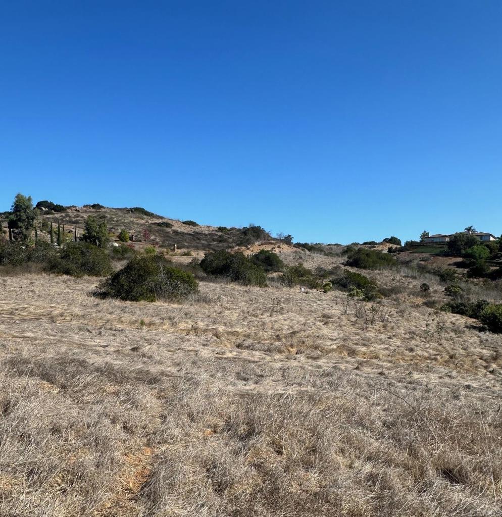 Lot #1 Trailside Road Property Photo 8