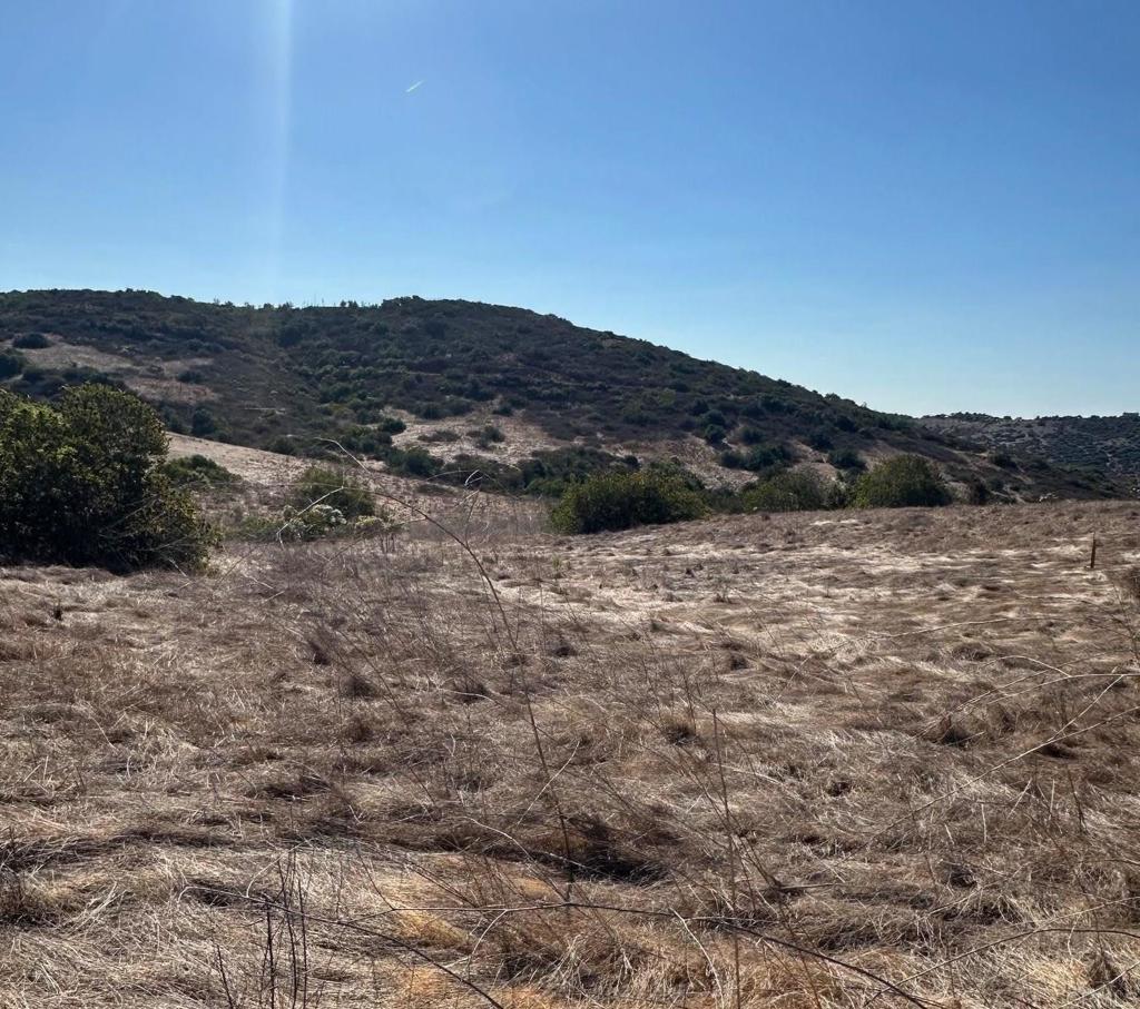 Lot #2 Trailside Road Property Photo 7