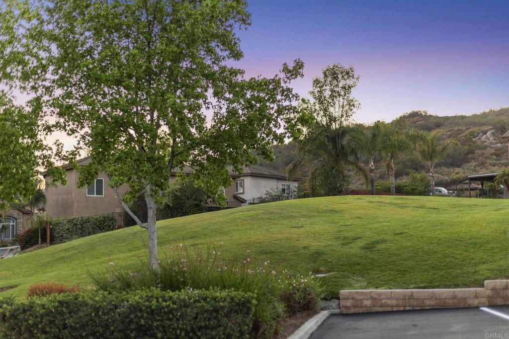 29822 Jodi Ann Ct Property Photo 52
