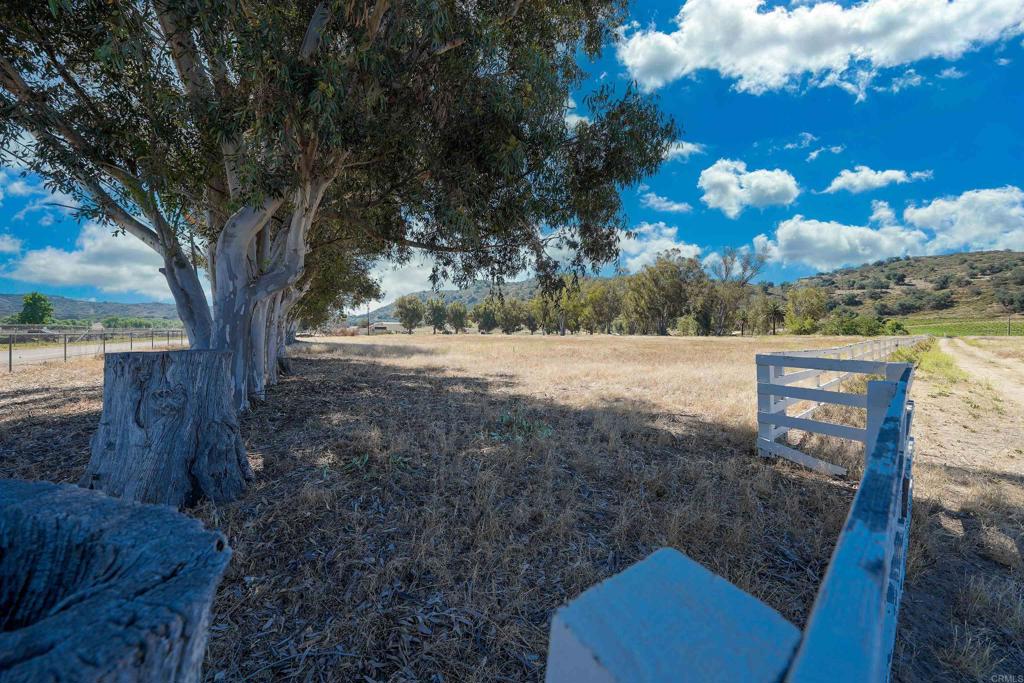 0 Highway 78 East Property Photo 12