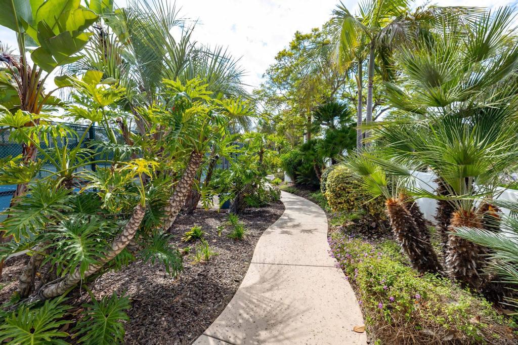 4980 Delos Way Property Photo 49
