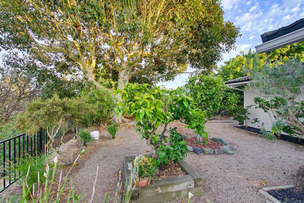 5605 Soledad Mountain Rd Property Photo 41
