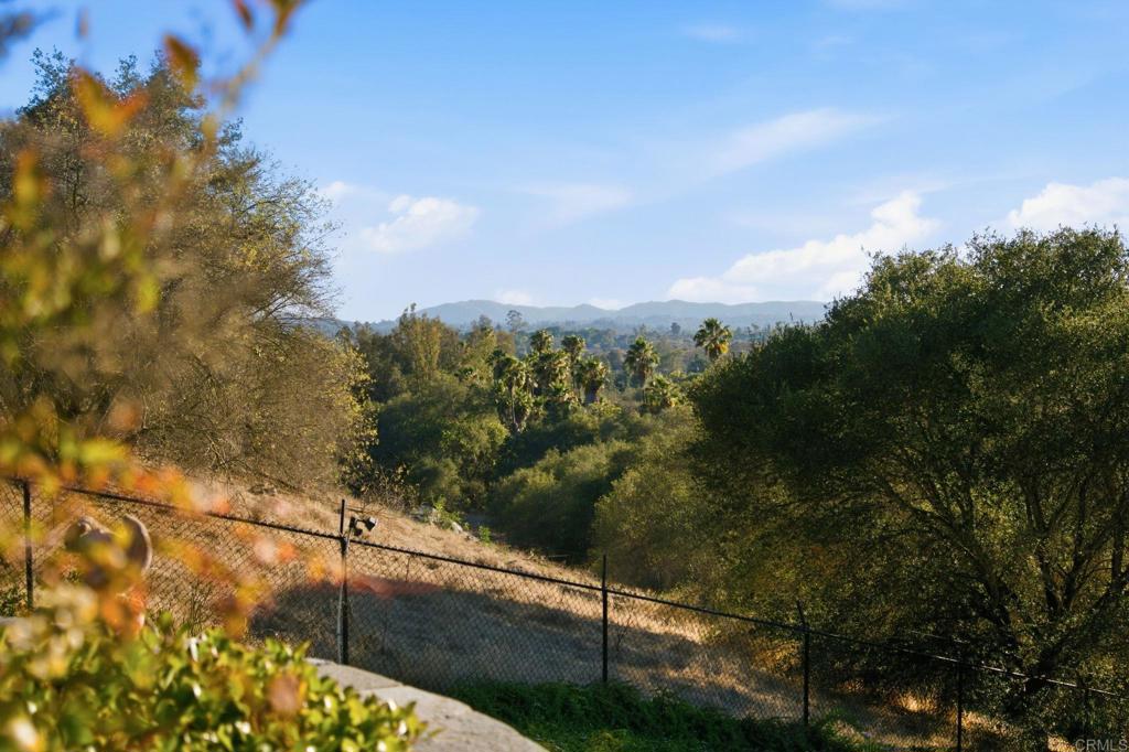 2308 Avenida La Cima Property Photo 67