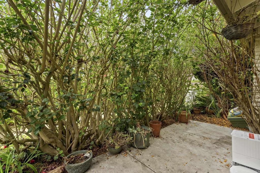 7063 Estrella De Mar Road Property Photo 21