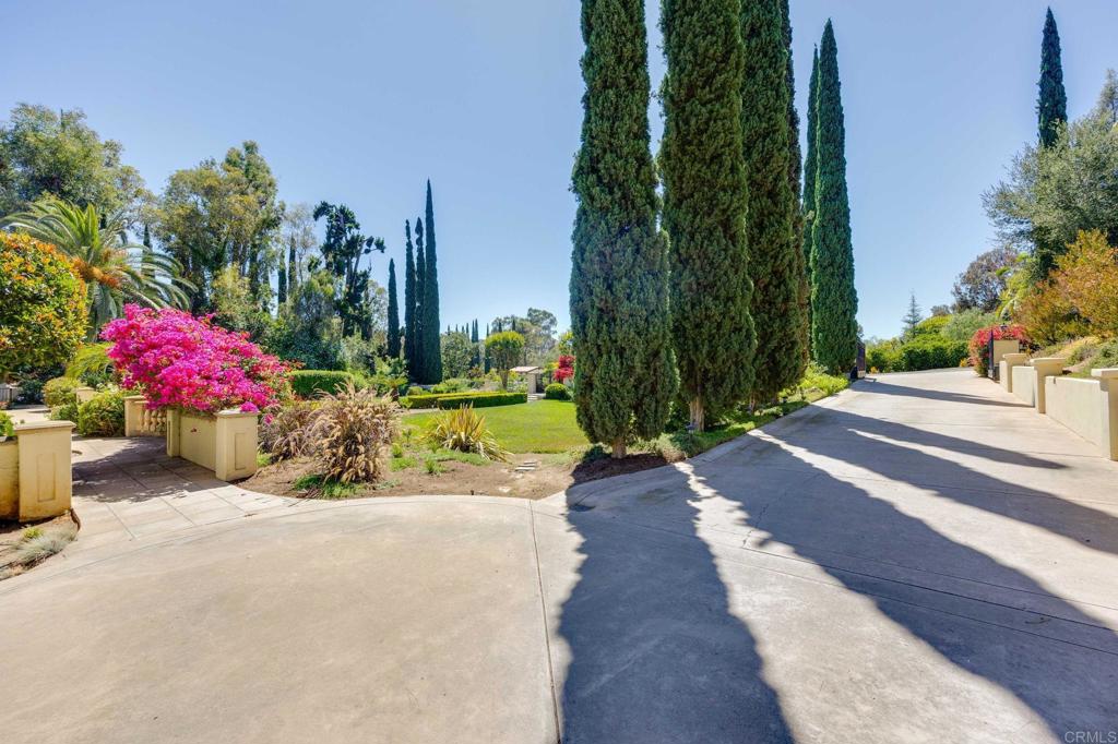 7263 Via Mariposa Sur Property Photo 26