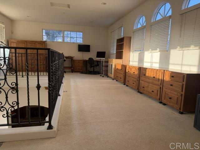 7263 Via Mariposa Sur Property Photo 43