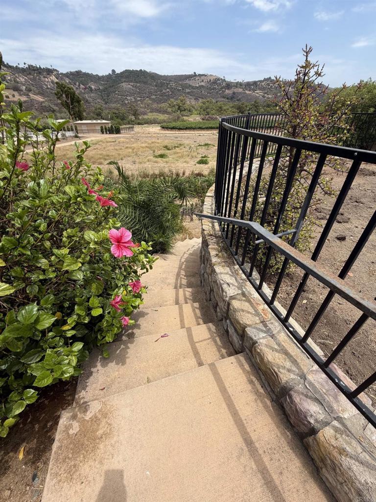 7263 Via Mariposa Sur Property Photo 63