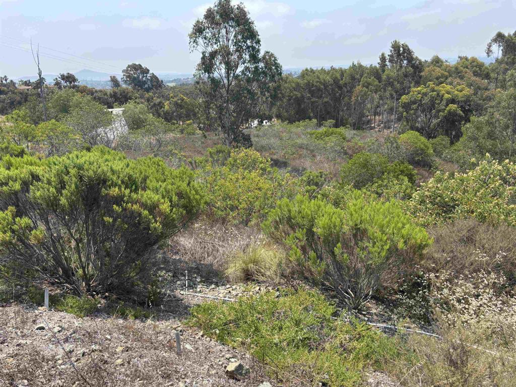 0 Lone Hill Lane Property Photo 1