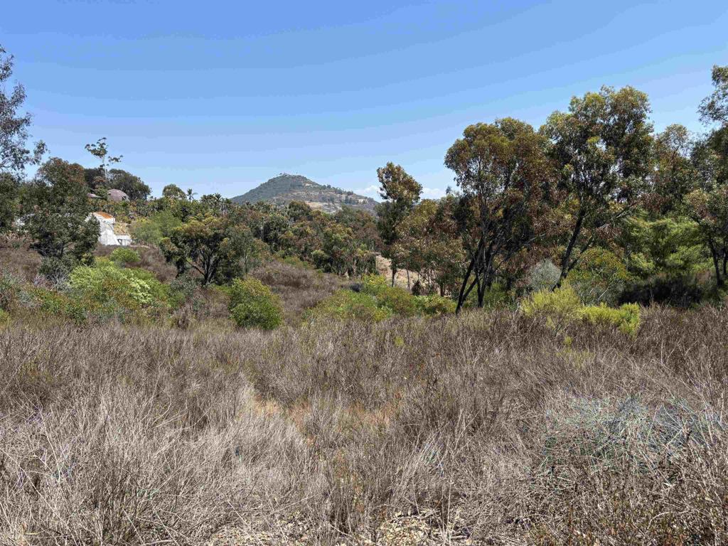 0 Lone Hill Lane Property Photo 2